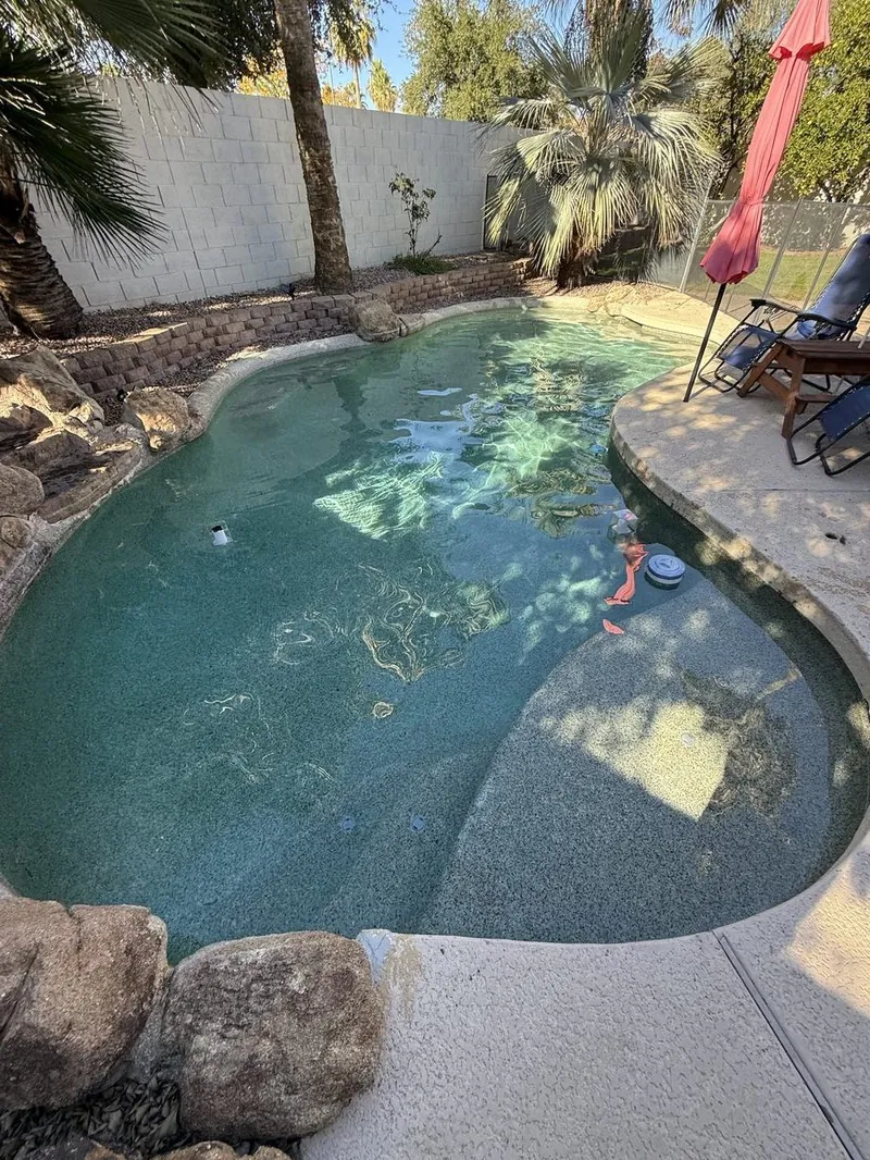 Backyard pool during chemical deep cleaning service