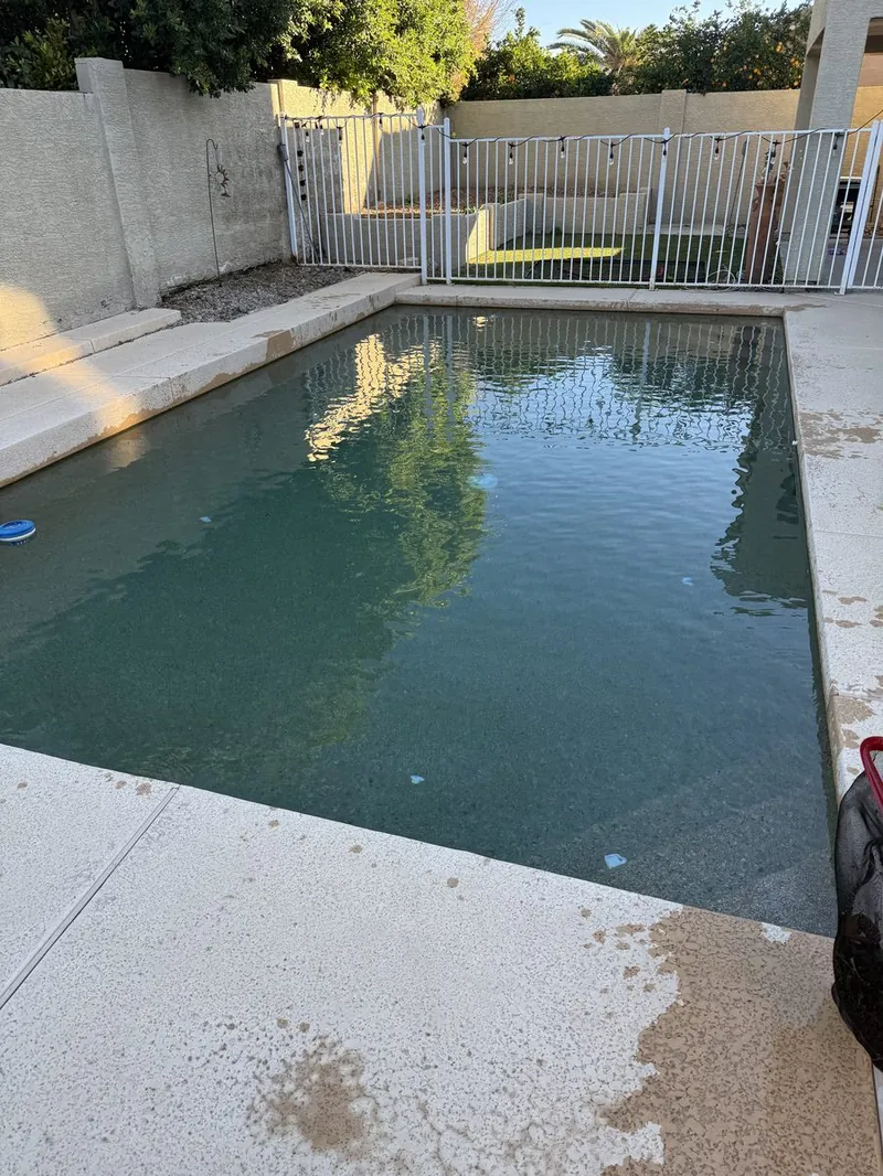 Green pool before professional cleaning service in Phoenix
